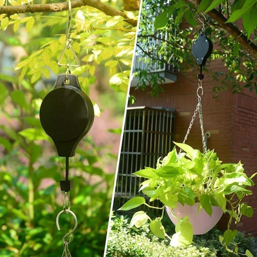 Mess-Free Plant Hanging